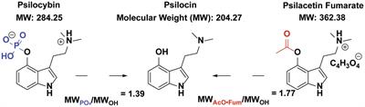 In vivo validation of psilacetin as a prodrug yielding modestly lower peripheral psilocin exposure than psilocybin